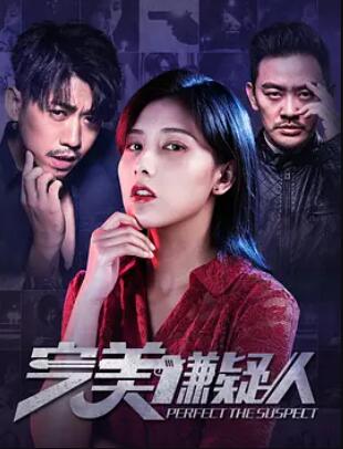 完美嫌疑人 海报 - 免费在线观看