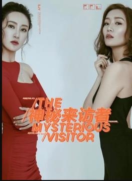 神秘来访者 - 徐大宝 在线观看