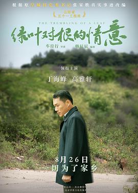 绿叶对根的情意 免费在线观看