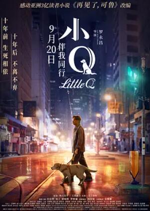 小Q 免费在线观看