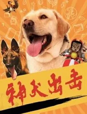 神犬出击 - 李超龙 在线观看