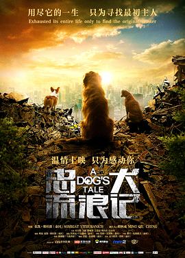 忠犬流浪记 在线观看